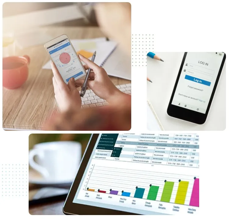 Imagem ilustrativa de Controle de ponto web